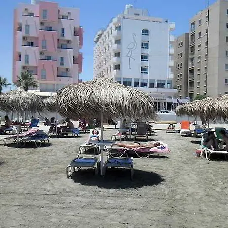 Flamingo