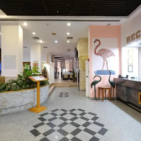 Flamingo 3* 라르나카