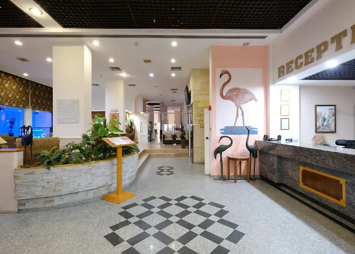 Flamingo 3* ラルナカ