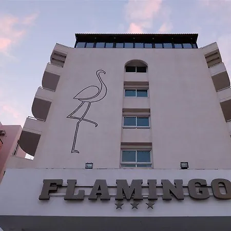 Flamingo 호텔 3*