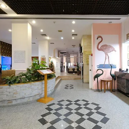 Flamingo מלון