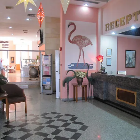 Flamingo מלון 3*