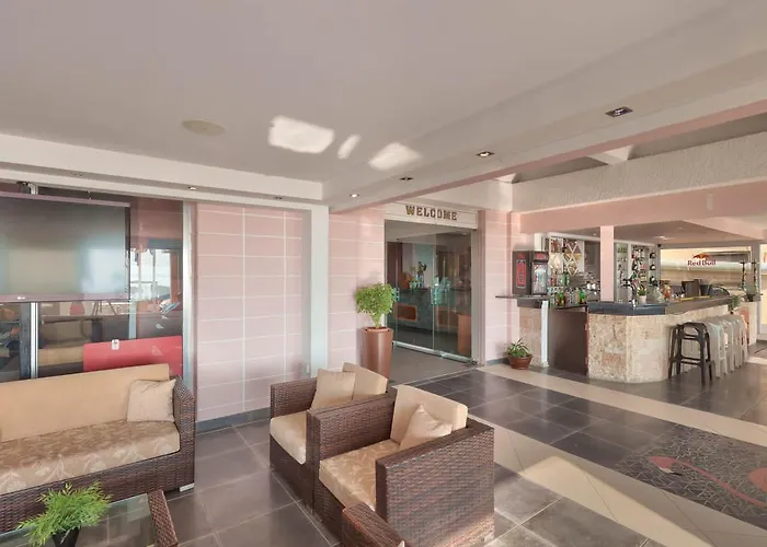 Flamingo لارنكا