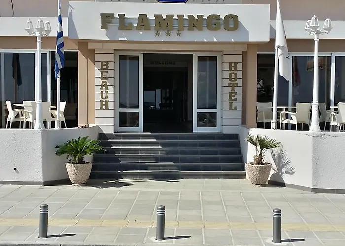 Flamingo 3* لارنكا